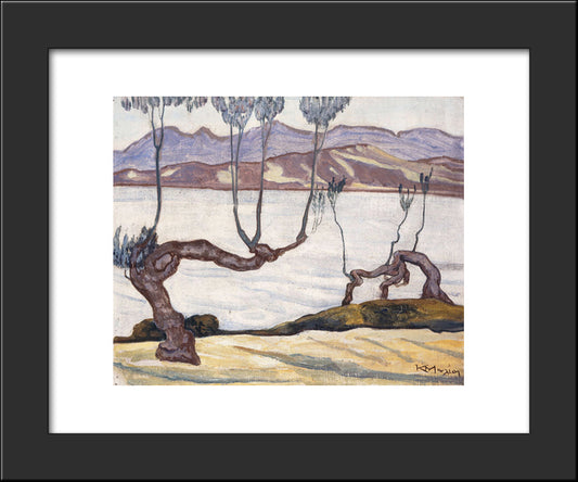 Landscape Of Aswan On The Nile 20x24 Black Modern Wood Framed Art Print Poster by Maleas, Constantine
