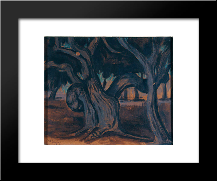 Olive Trees 20x24 Black Modern Wood Framed Art Print Poster by Maleas, Constantine