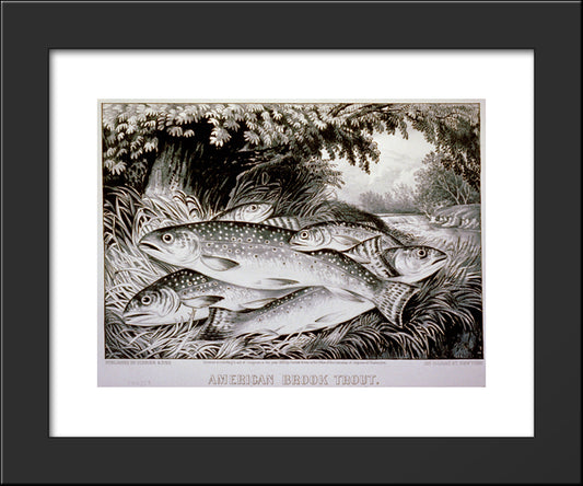 American Brook Trout 20x24 Black Modern Wood Framed Art Print Poster by Currier and Ives