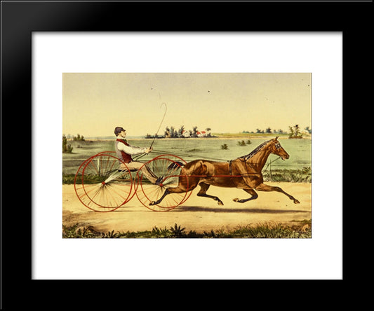 Flora Temple 20x24 Black Modern Wood Framed Art Print Poster by Currier and Ives