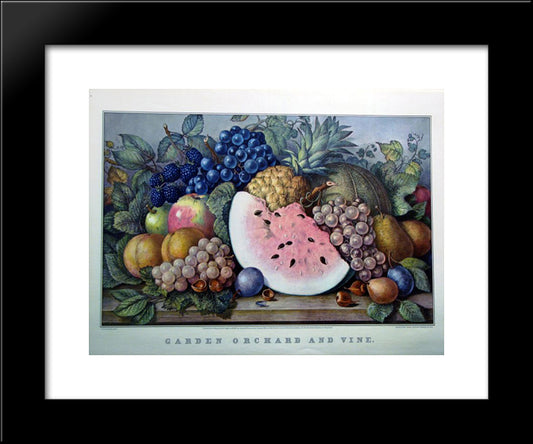 Garden Orchard And Vine 20x24 Black Modern Wood Framed Art Print Poster by Currier and Ives