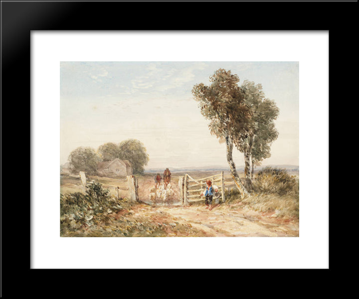 Boy Opening A Gate For Sheep 20x24 Black Modern Wood Framed Art Print Poster by Cox, David