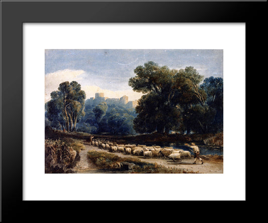 In Windsor Park 20x24 Black Modern Wood Framed Art Print Poster by Cox, David