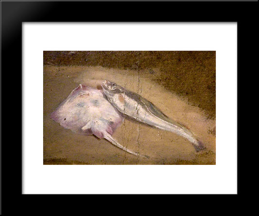 Study Of Fish, Skate And Cod 20x24 Black Modern Wood Framed Art Print Poster by Cox, David