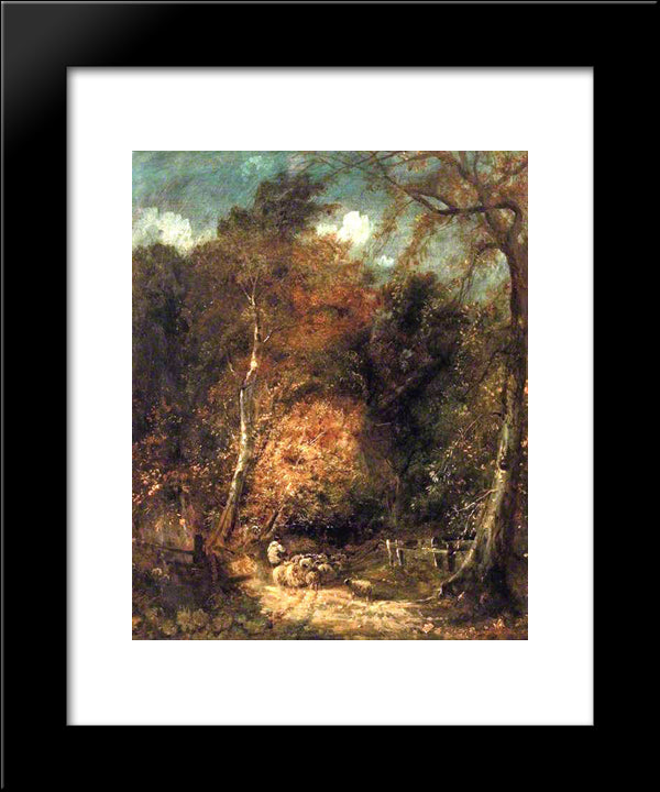 Wooded Landscape 20x24 Black Modern Wood Framed Art Print Poster by Cox, David