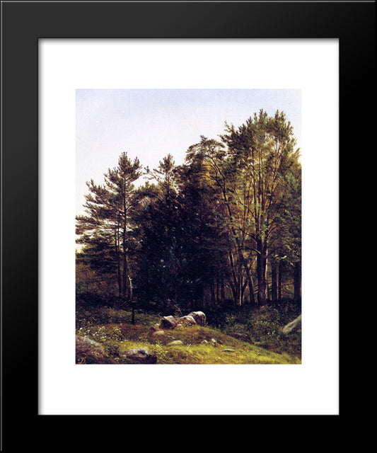 A Study Near Tamworth, New Hampshire 20x24 Black Modern Wood Framed Art Print Poster by Johnson, David