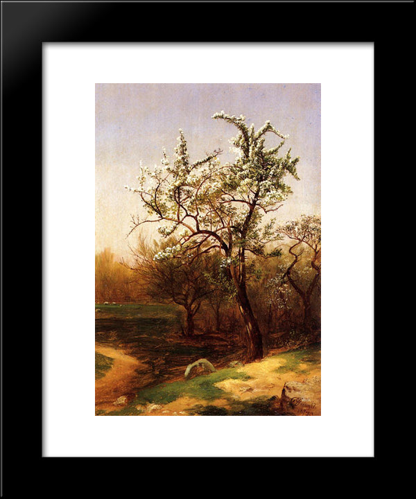 Pear Blossoms 20x24 Black Modern Wood Framed Art Print Poster by Johnson, David