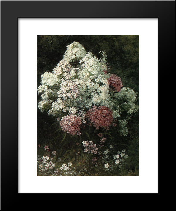 Phlox 20x24 Black Modern Wood Framed Art Print Poster by Johnson, David