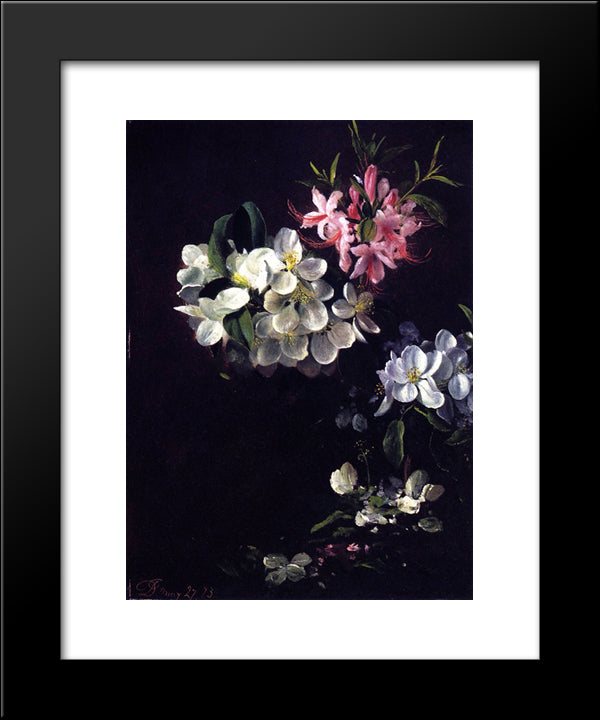 Sketch Of Apple Blossoms With May Flowers 20x24 Black Modern Wood Framed Art Print Poster by Johnson, David