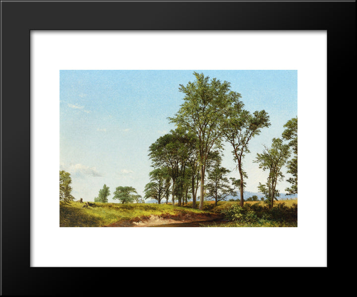Young Elms 20x24 Black Modern Wood Framed Art Print Poster by Johnson, David