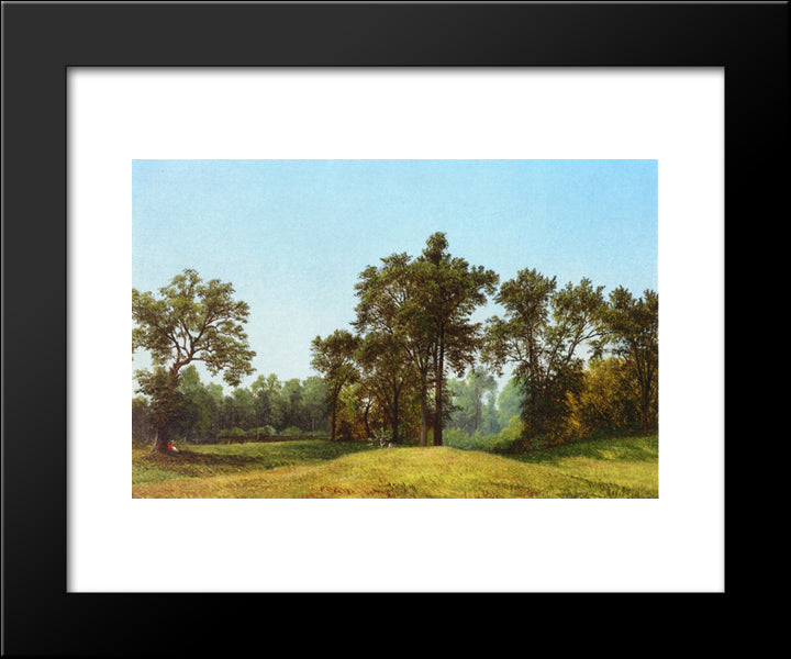 Young Elms 20x24 Black Modern Wood Framed Art Print Poster by Johnson, David