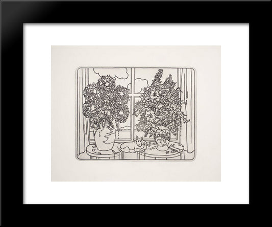Calm Life 20x24 Black Modern Wood Framed Art Print Poster by Roth, Dieter