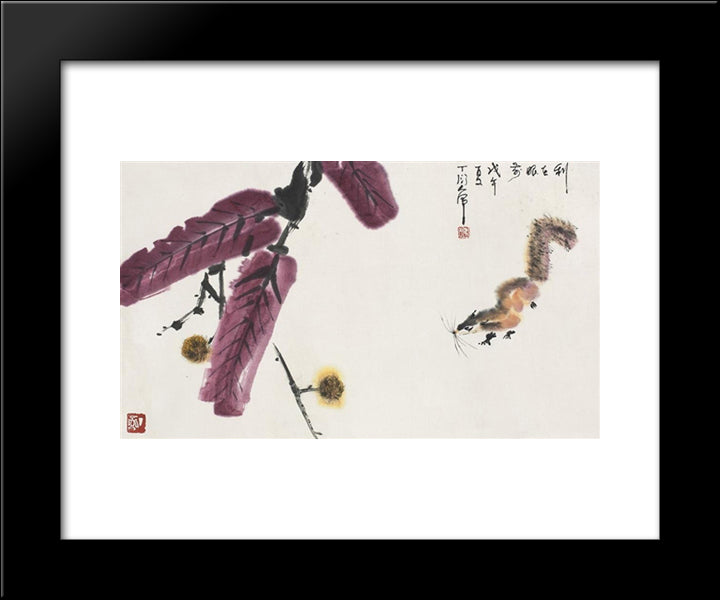 Squirrel 20x24 Black Modern Wood Framed Art Print Poster by Yanyong, Ding