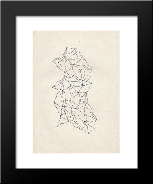Entopic Graphomania 20x24 Black Modern Wood Framed Art Print Poster by Trost, Dolfi