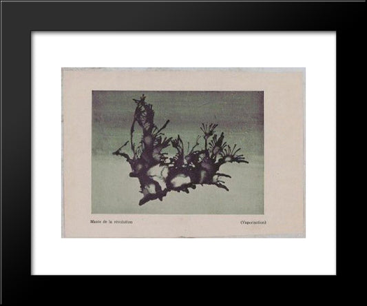 The Mania Of Revolution (Vaporization) 20x24 Black Modern Wood Framed Art Print Poster by Trost, Dolfi