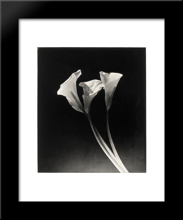 Arums 20x24 Black Modern Wood Framed Art Print Poster by Maar, Dora