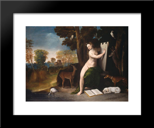 Circe And Her Lovers In A Landscape 20x24 Black Modern Wood Framed Art Print Poster by Dosso Dossi