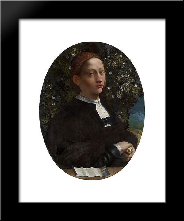 Portrait Of A Youth, Probably Lucrezia Borgia 20x24 Black Modern Wood Framed Art Print Poster by Dosso Dossi