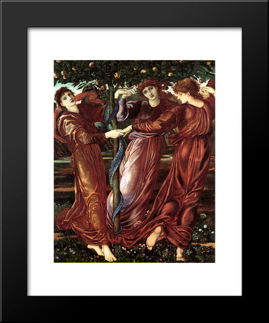 The Garden Of The Heserides 20x24 Black Modern Wood Framed Art Print Poster by Burne Jones, Edward