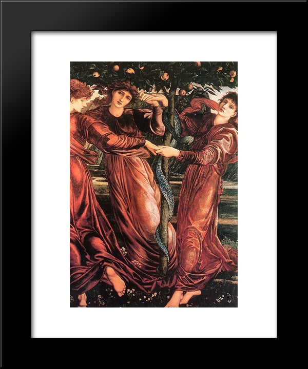 The Garden Of The Hesperides 20x24 Black Modern Wood Framed Art Print Poster by Burne Jones, Edward