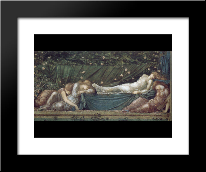 The Rose Bower 20x24 Black Modern Wood Framed Art Print Poster by Burne Jones, Edward