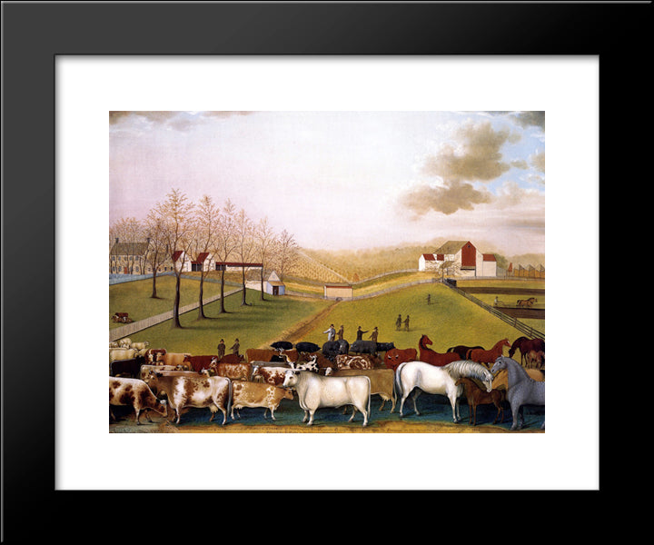 An Indian Summer View Of The Farm & Stock Of James C. Cornell 20x24 Black Modern Wood Framed Art Print Poster by Hicks, Edward