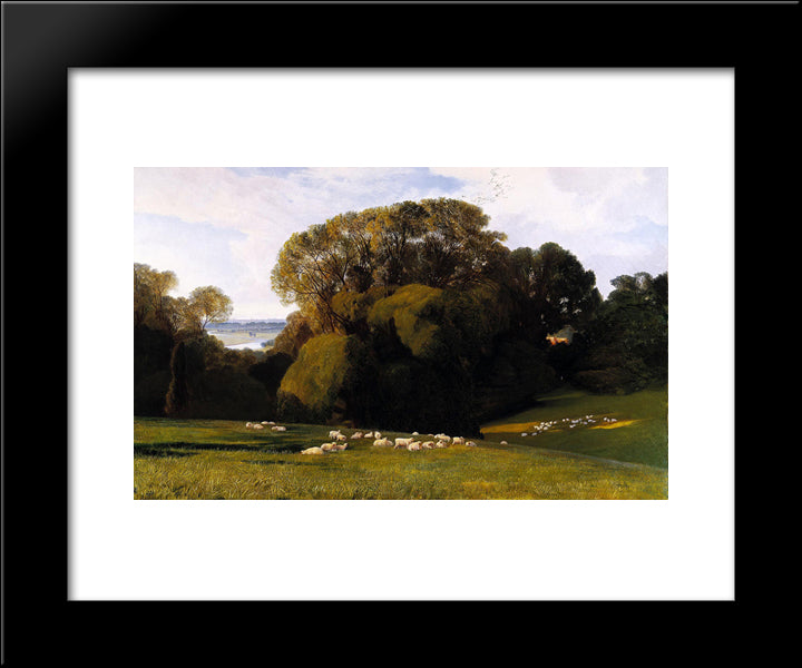 Nuneham 20x24 Black Modern Wood Framed Art Print Poster by Lear, Edward