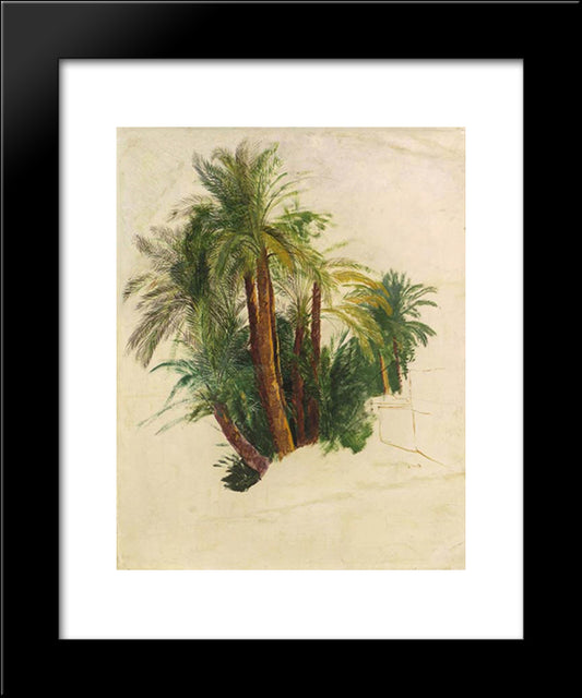 Study Of Palm Trees 20x24 Black Modern Wood Framed Art Print Poster by Lear, Edward