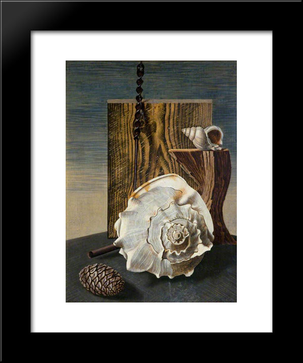 Gasteropoda 20x24 Black Modern Wood Framed Art Print Poster by Wadsworth, Edward