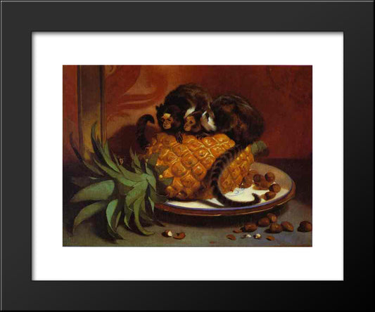 Brazilian Marmosets 20x24 Black Modern Wood Framed Art Print Poster by Landseer, Edwin Henry