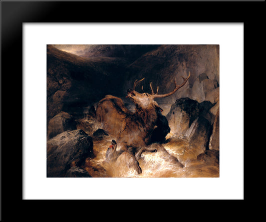 Deer And Deer Hounds In A Mountain Torrent 20x24 Black Modern Wood Framed Art Print Poster by Landseer, Edwin Henry