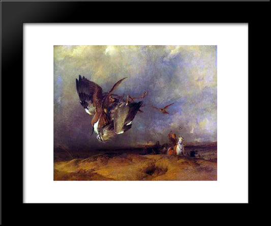 Hawking 20x24 Black Modern Wood Framed Art Print Poster by Landseer, Edwin Henry