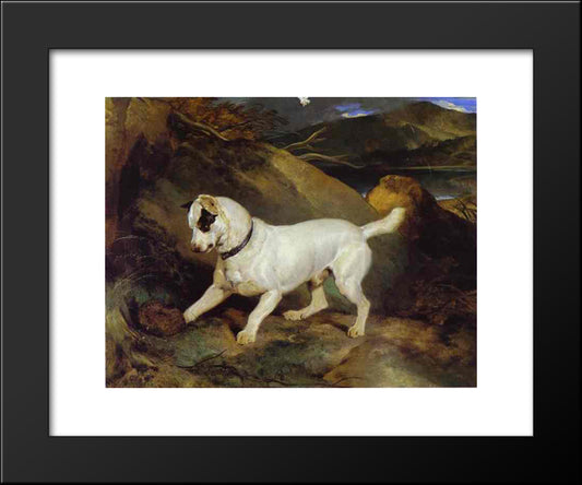 Jocko With A Hedgehog 20x24 Black Modern Wood Framed Art Print Poster by Landseer, Edwin Henry