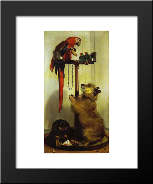 Macaw, Love Birds, Terrier, And Spaniel Puppies, Belonging To Her Majesty 20x24 Black Modern Wood Framed Art Print Poster by Landseer, Edwin Henry