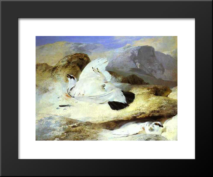 Ptarmigan 20x24 Black Modern Wood Framed Art Print Poster by Landseer, Edwin Henry