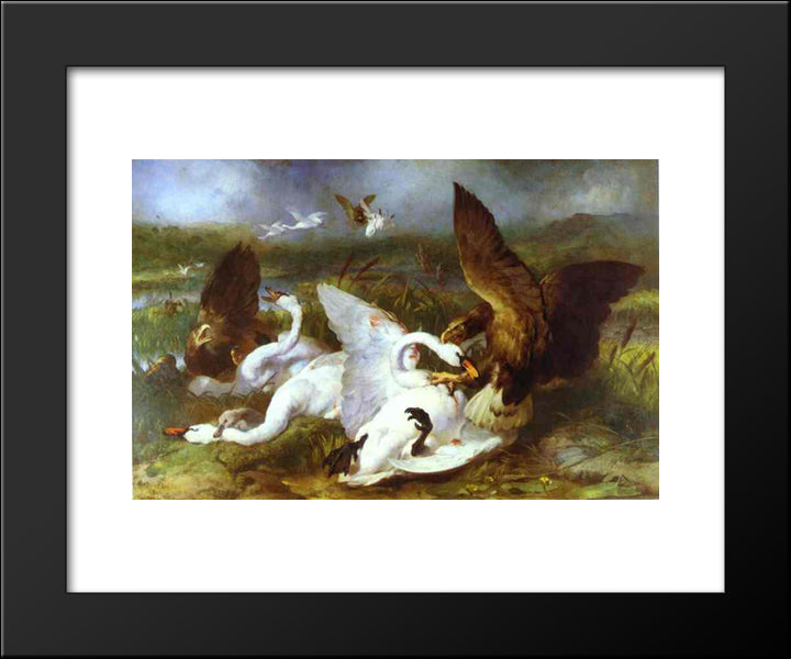 Swannery Invaded By Eagles 20x24 Black Modern Wood Framed Art Print Poster by Landseer, Edwin Henry