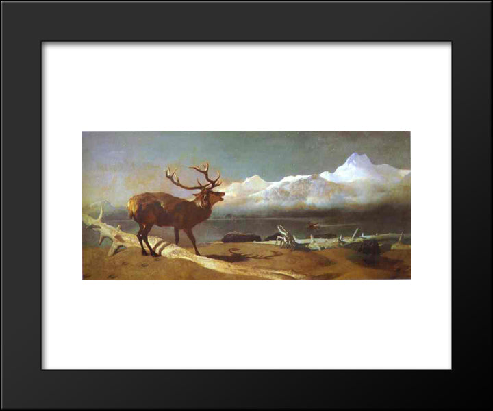 The Challenge 20x24 Black Modern Wood Framed Art Print Poster by Landseer, Edwin Henry