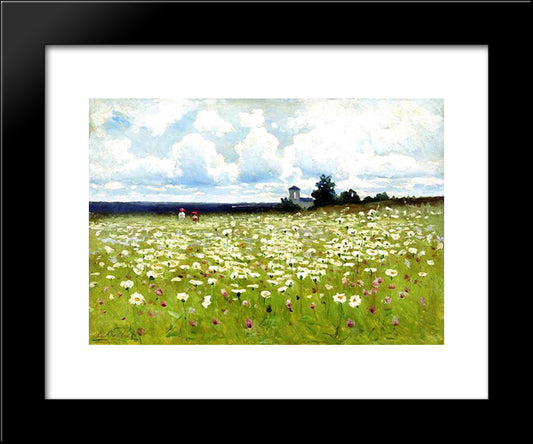 Field Of Daisies 20x24 Black Modern Wood Framed Art Print Poster by Volkov, Efim