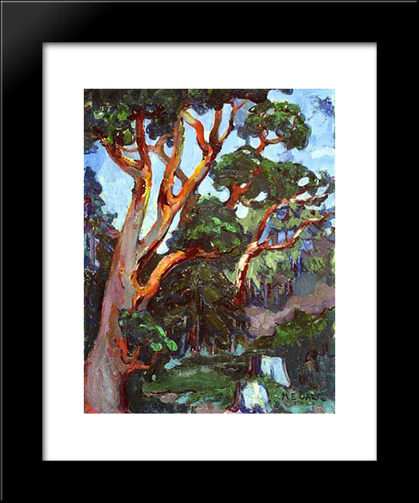 Arbutus Tree 20x24 Black Modern Wood Framed Art Print Poster by Carr, Emily