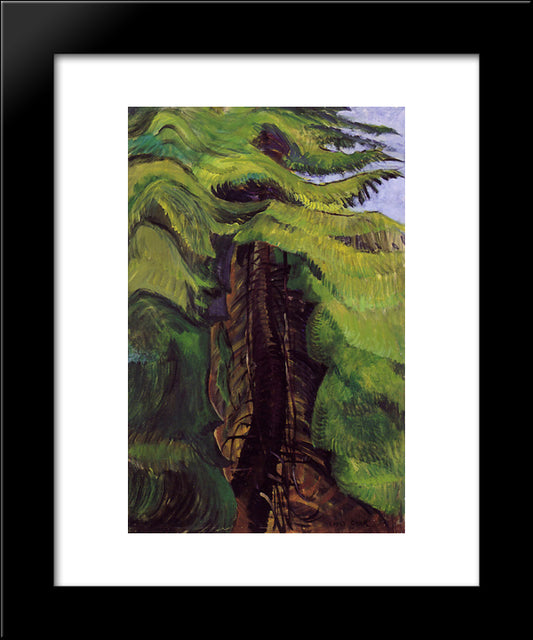 Cedar Sanctuary 20x24 Black Modern Wood Framed Art Print Poster by Carr, Emily