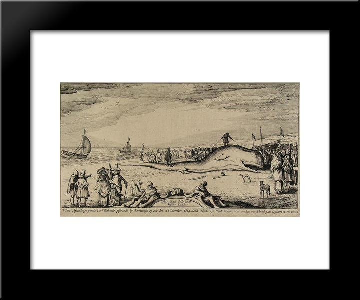 Sperm Whale On The Beach Of Noordwijk 20x24 Black Modern Wood Framed Art Print Poster by Velde, Esaias van de
