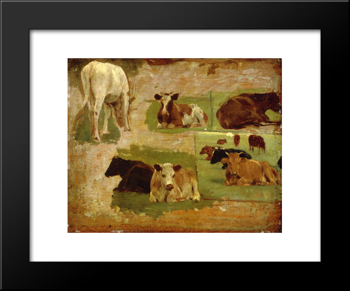 Study Of Cows 20x24 Black Modern Wood Framed Art Print Poster by Boudin, Eugene