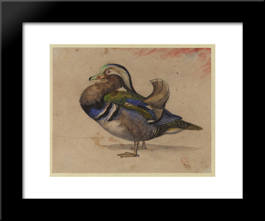 A Mandarin Drake 20x24 Black Modern Wood Framed Art Print Poster by Delacroix, Eugene
