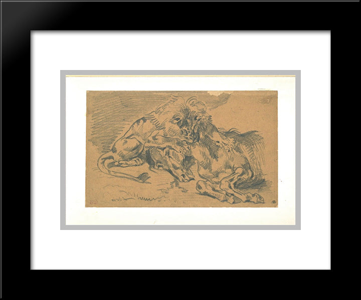 Lion Devouring A Horse 20x24 Black Modern Wood Framed Art Print Poster by Delacroix, Eugene