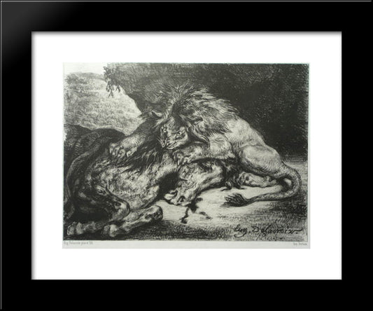 Lion Devouring An Arab Horse 20x24 Black Modern Wood Framed Art Print Poster by Delacroix, Eugene