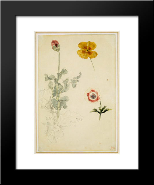 Study Of Flowers 20x24 Black Modern Wood Framed Art Print Poster by Delacroix, Eugene