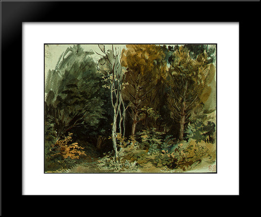 The Edge Of A Wood At Nohant 20x24 Black Modern Wood Framed Art Print Poster by Delacroix, Eugene