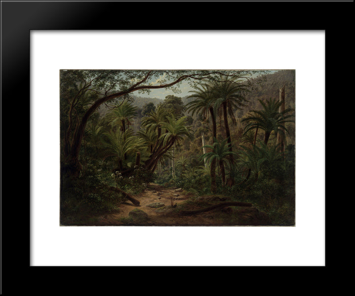 Ferntree Gully In The Dandenong Ranges 20x24 Black Modern Wood Framed Art Print Poster by von Guerard, Eugene