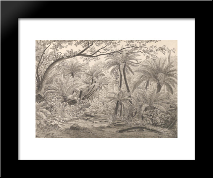 Ferntree Or Dobson'S Gully, Dandenong Ranges 20x24 Black Modern Wood Framed Art Print Poster by von Guerard, Eugene