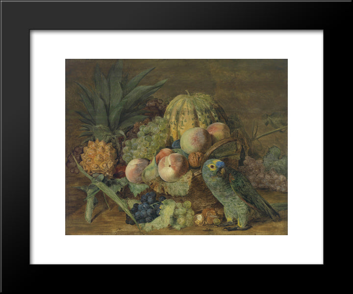 Fruit Still Life With An Amazon Parrot 20x24 Black Modern Wood Framed Art Print Poster by Waldmuller, Ferdinand Georg